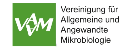 Webdesign Agentur für Webdesign und Webentwicklung